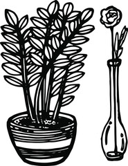Vector hand drawn doodle plant, pot plants, drawn zamioculcas, flower in the vase