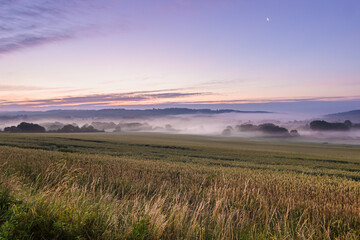 Obraz premium Morning fog under the agricultural field. Summertime landscape. Sunrise in the village