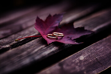 autumn leaf with wedding rings