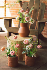 Ranunculus flowers in clay pots on the terrace. Beautiful flowers in a vase