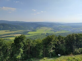landscape with vineyard