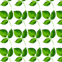 leaves green pattern green rose