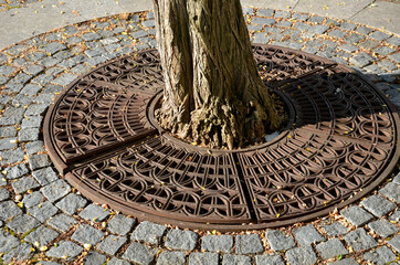 trees planted in a large paved area of the pedestrian zone pavement need to breathe roots and...