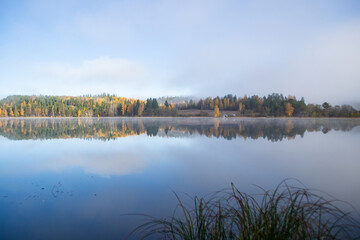 Autumn morning