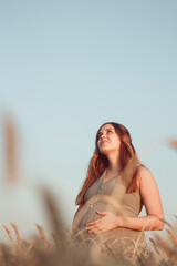 beautiful young pregnant woman walks in ripe wheat field at sunset, expectant mother with red hair relax in nature stroking her belly with her hand