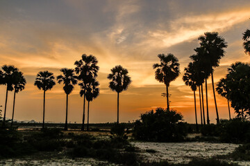 Beautiful sunset at a beach full of palm trees.