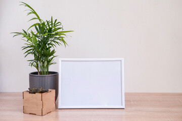 Portrait and square wooden picture frames mockups with palm and succulent. 