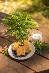 Cookies dessert with blueberries on wooden table outdoors