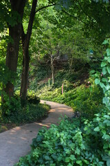 pathway