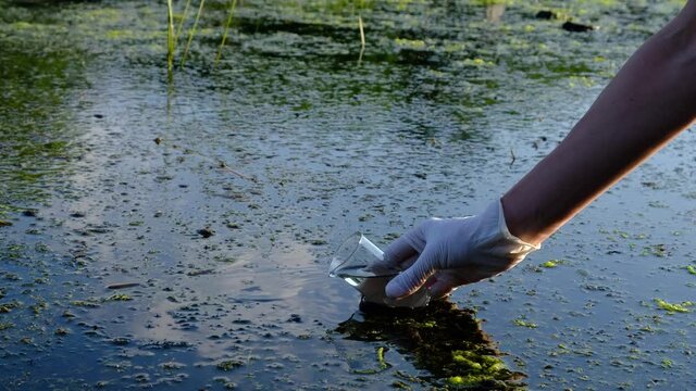 Samples of river water. The hand holds a chemical flask with a liquid