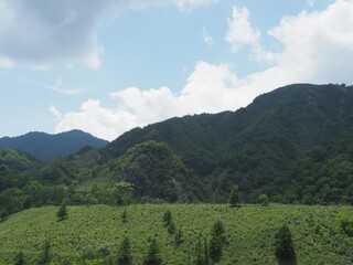 Various landscapes in the Ashio area
