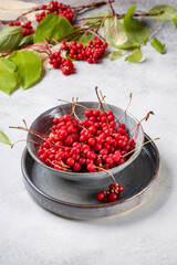 Schisandra chinensis or five-flavor berry. Fresh red ripe berries in gray bowl on concrete background. - obrazy, fototapety, plakaty