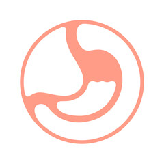 Stomach graphic icon. Human stomach sign in the circle isolated on white background. Vector illustration