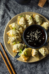 Homemade Pan Fried Chicken Wontons