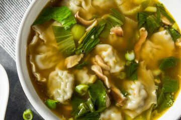 Homemade Asian Chicken Wonton Soup