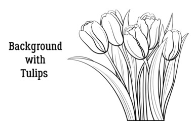 Tulips Flowers and Leaves, Black Contours Isolated on White Background. Vector