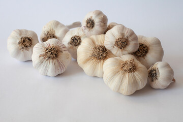 garlic isolated white background spice
