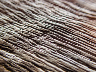 selective focus texture old wooden table, beautiful pattern, brown Background image for designing to insert text.