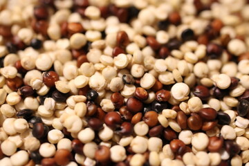 dry tri-colored quinoa close up