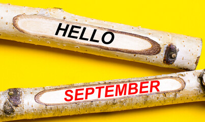 On a bright yellow background, two light wooden pencils with the words HELLO SEPTEMBER.