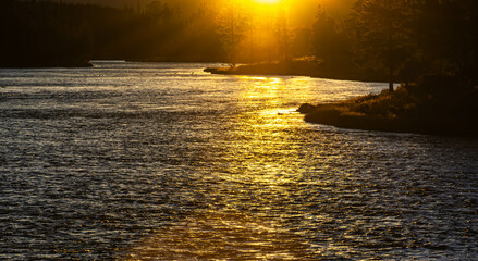 Golden Sun Light on the Madison River