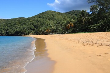 Guadeloupe Grande Anse Beach