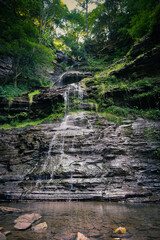 Fototapeta premium Cathedral Falls WV