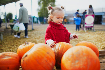 Fototapeta premium Adorable toddler girl in red poncho selecting pumpkin on farm