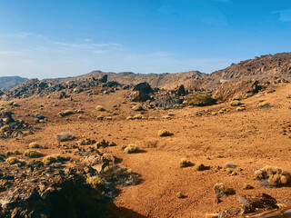 desert landscape in park