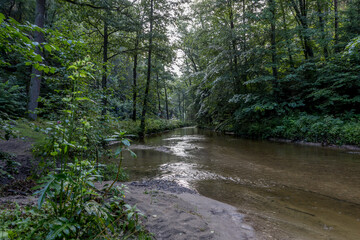Obraz premium Fluß in der Sächsischen Schweiz