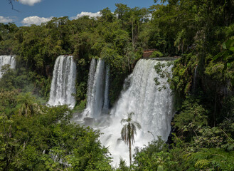 The Iguazu falls in the jungle. View of the white falling water flowing across the tropical rainforest in Iguazu national Park, Misiones, Argentina. The waterfalls and lush vegetation.