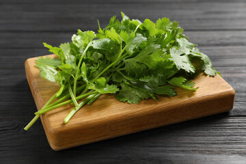 Fresh green cilantro and board on black wooden table