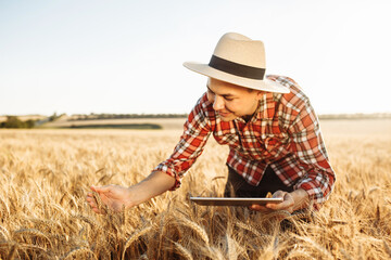 Naklejka na ściany i meble A young farmer with a tablet in his hands checks the quality of the wheat. Agronomist in a straw hat in the middle of a ripe wheat field. Sunset light, summer landscape.