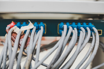Close up of bunch of Ethernet cables (RJ45) plug into an enterprise network switch to connect to the internet. The switch is at full capacity (full load).