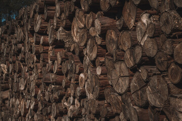 wood texture