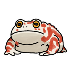 アジアヒキガエル