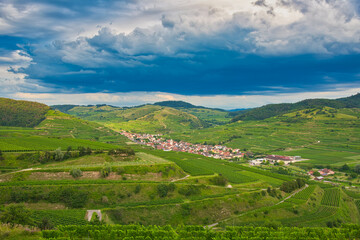 Naklejka premium Blick auf Oberbergen im Kaiserstuhl
