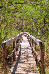 Rustic wooden bridge on the trails of the Curu Wildlife Reserve. Puntarenas, pacific of Costa Rica.
