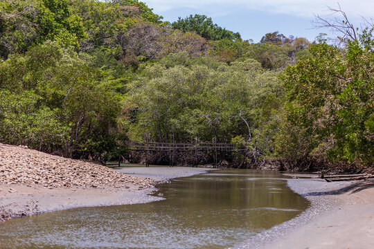 Rustic wooden bridge on the trails of the Curu Wildlife Reserve. Puntarenas, pacific of Costa Rica.