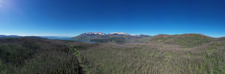 180 Pano from outside Teton ntl Pk