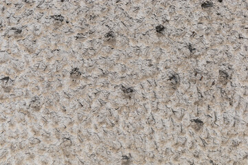 Grunge of the concrete surface