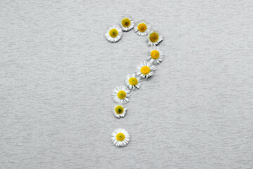 Question mark of daisy flowers on a gray background