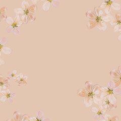 beige muted illustration of natural cherry flowers, delicate frame with place for text