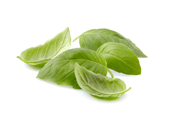 Basil leaves in closeup on white background