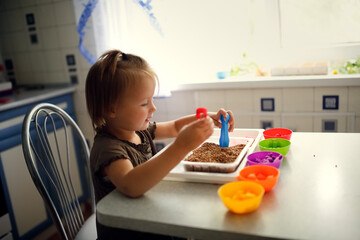 Kid Toddler plays with cereals, sorts toy figures by color. Child plays with tweezers, Montessori activities, fine motor development and sensory play