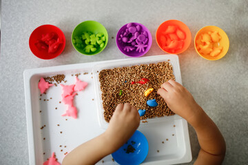 Baby Toddler plays with cereals, sorts toy figures by color. Child plays with tweezers, Montessori activities, fine motor development and sensory play, top view - obrazy, fototapety, plakaty