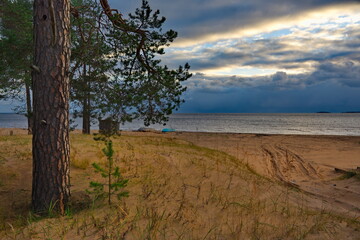 Fototapeta na wymiar Russia. Republic of Karelia. A picturesque sunset in a pine forest on the north-eastern shore of Lake Onega.