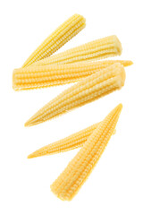 Tasty baby corn cobs flying on white background