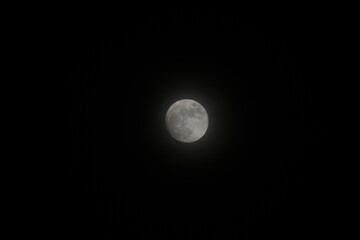 Luna nocturna 