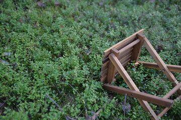 Leśny mech i kawałek krzesła 